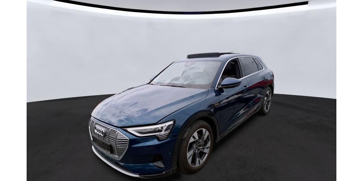 Audi e-tron 31.429 km 33.385 &euro; Hagen 58091