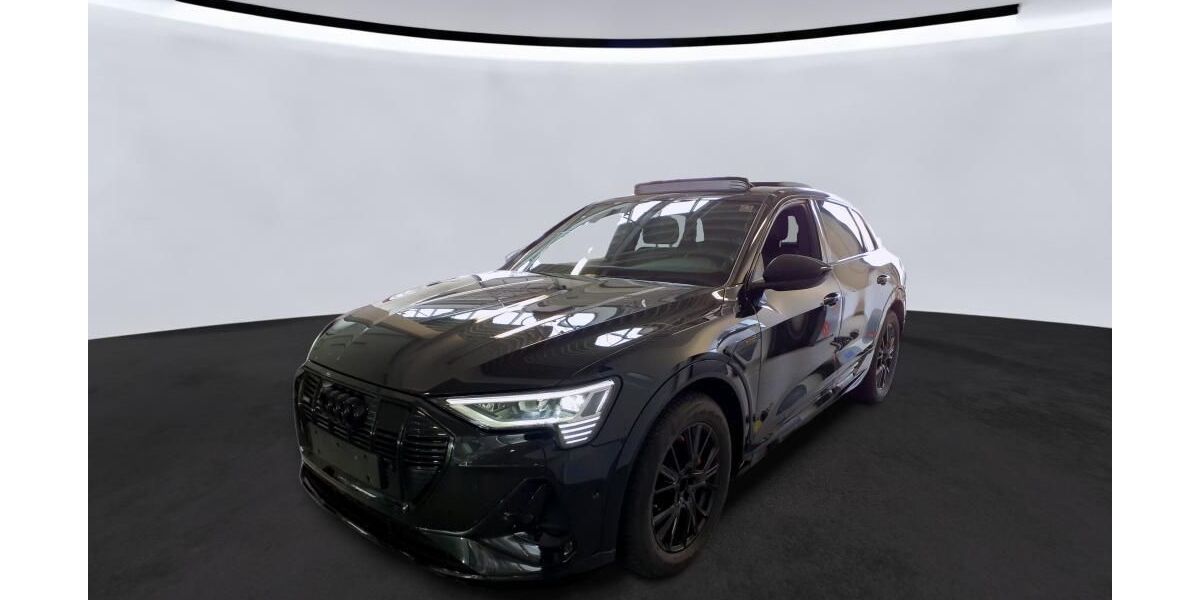 Audi e-tron 34.062 km 34.190 &euro; Hagen 58091
