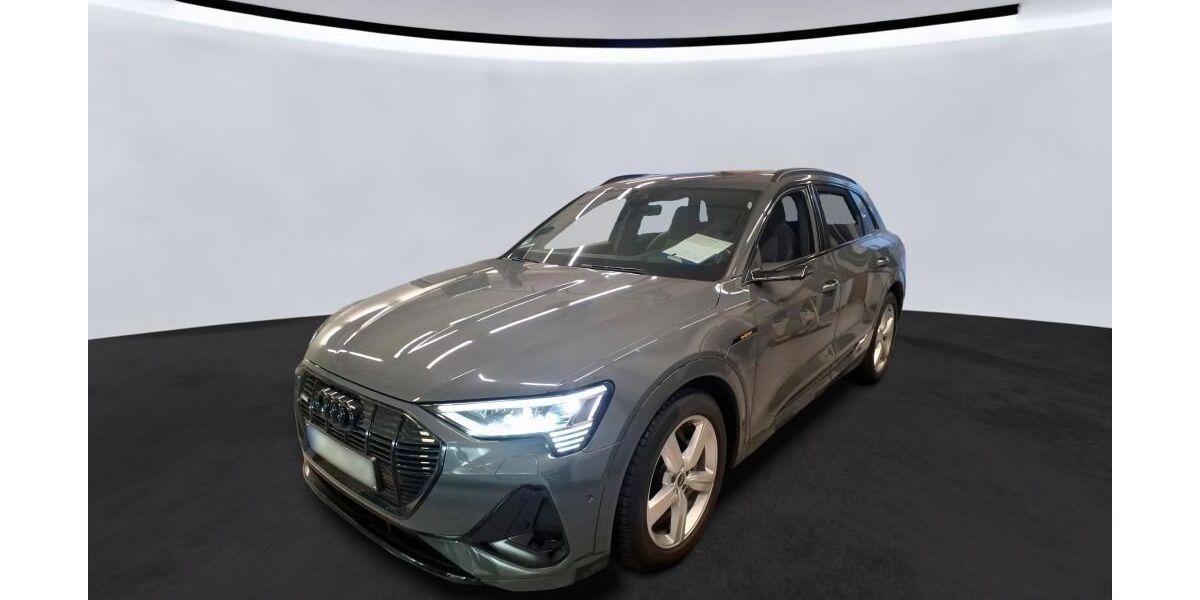 Audi e-tron 58.694 km 38.050 &euro; Hagen 58091