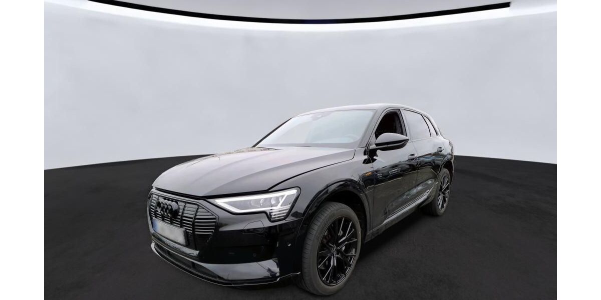 Audi e-tron 46.252 km 29.940 &euro; Hagen 58091