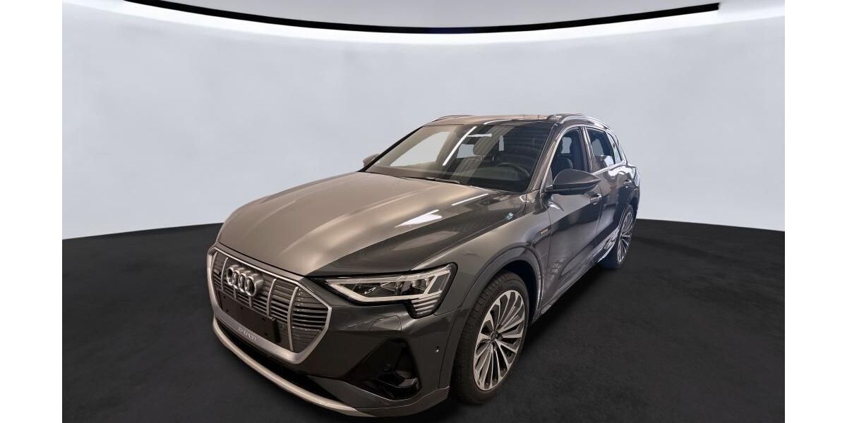 Audi e-tron 33.663 km 39.313 &euro; Hagen 58091