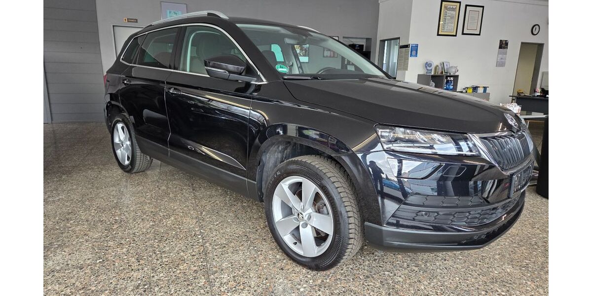 Skoda Karoq 76.618 km 17.200 &euro; Recklinghausen 45665