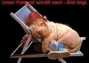 VW Tiguan 31.200 km 49.950 &euro; Essen 45134