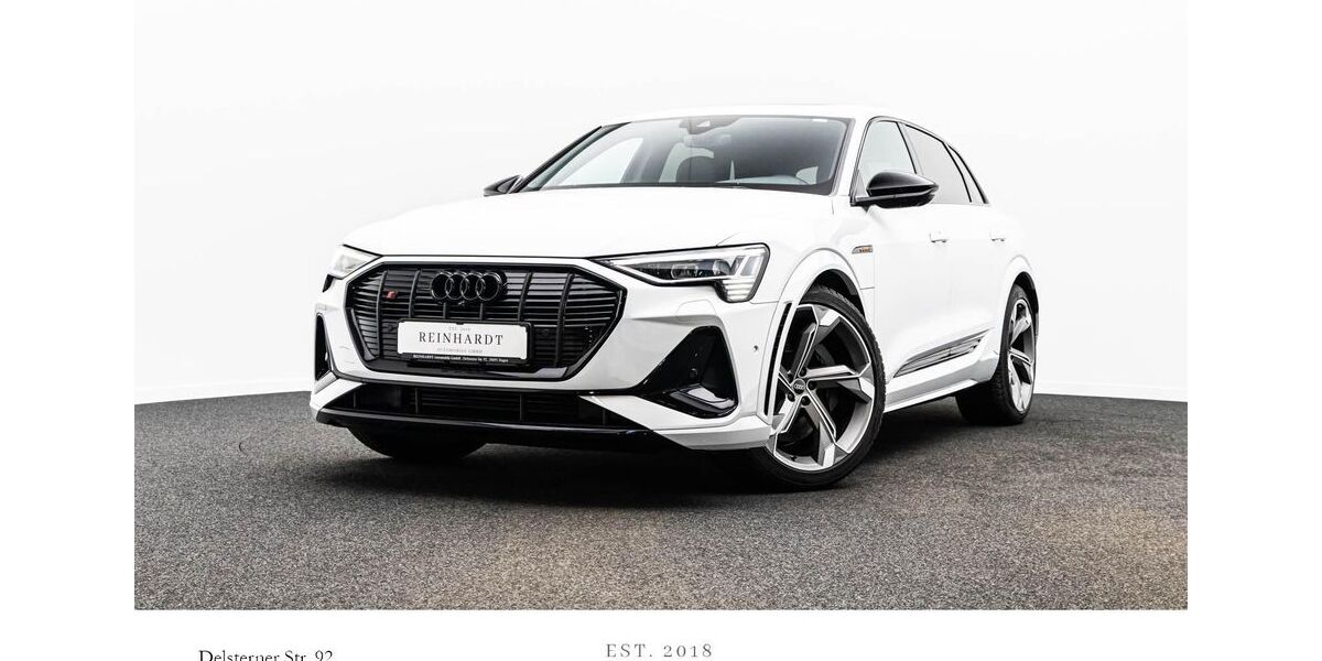 Audi e-tron 41.125 km 42.950 &euro; Hagen 58091