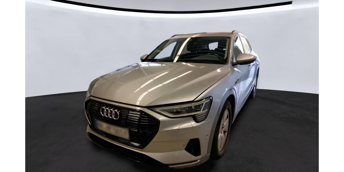 Audi e-tron 22.478 km 29.835 &euro; Hagen 58091