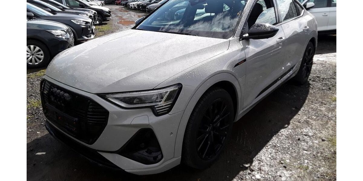 Audi e-tron 32.596 km 44.965 &euro; Hagen 58091