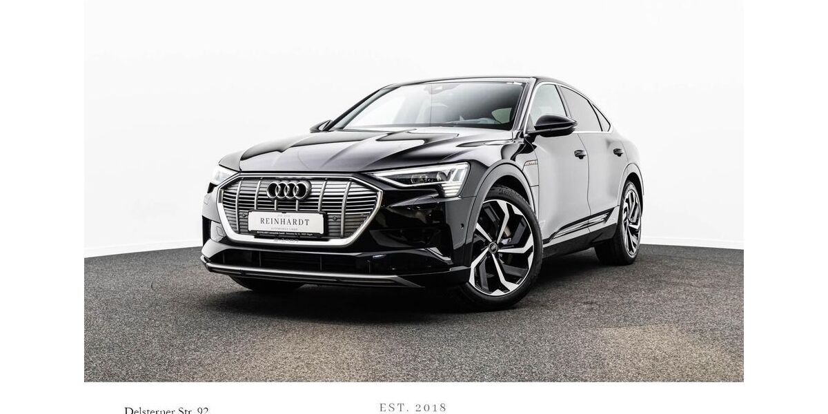 Audi e-tron 41.877 km 34.855 &euro; Hagen 58091