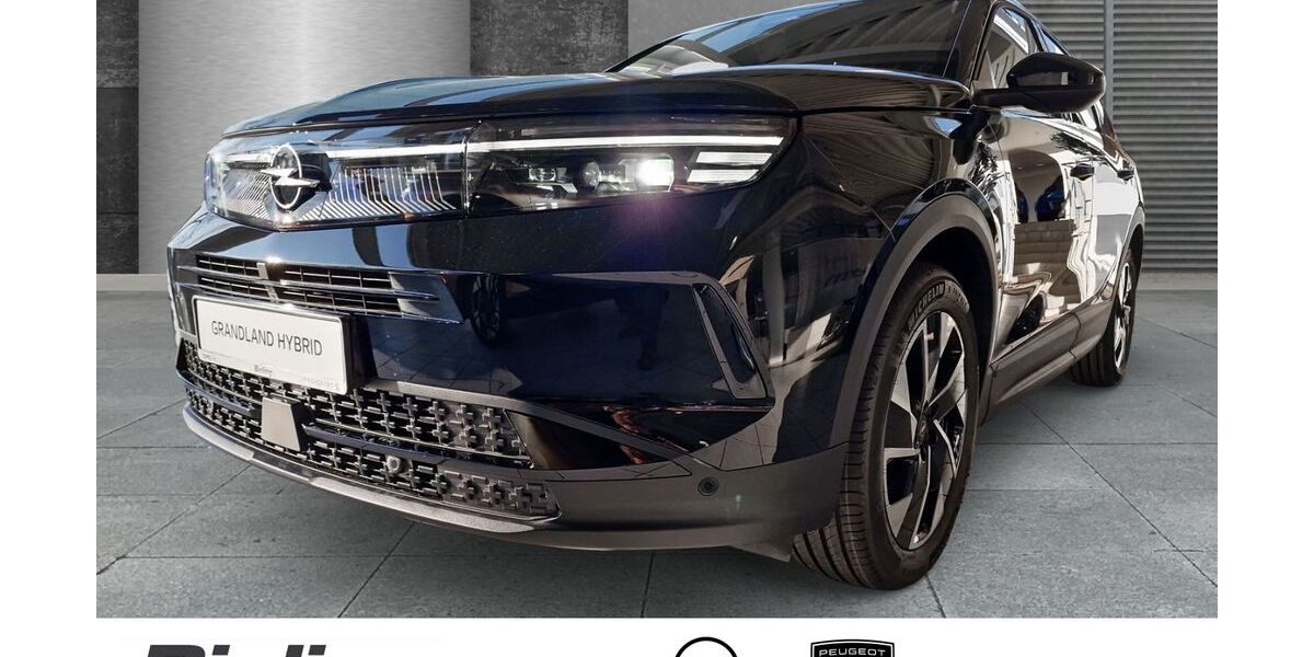 Opel Grandland (X) 18.255 km 28.560 &euro; Herten 45699