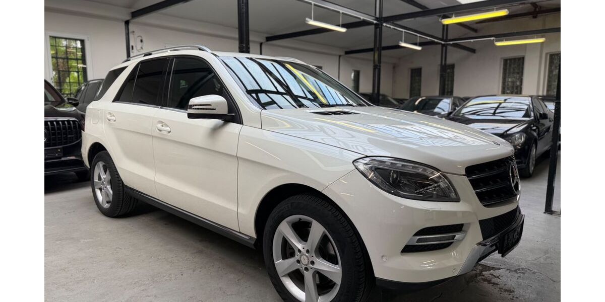 Mercedes-Benz ML 250 165.000 km 17.870 &euro; Velbert 42551