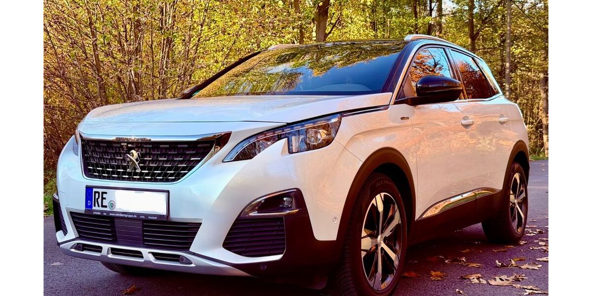 Peugeot 3008 86.600 km 19.000 &euro; Herten 45701