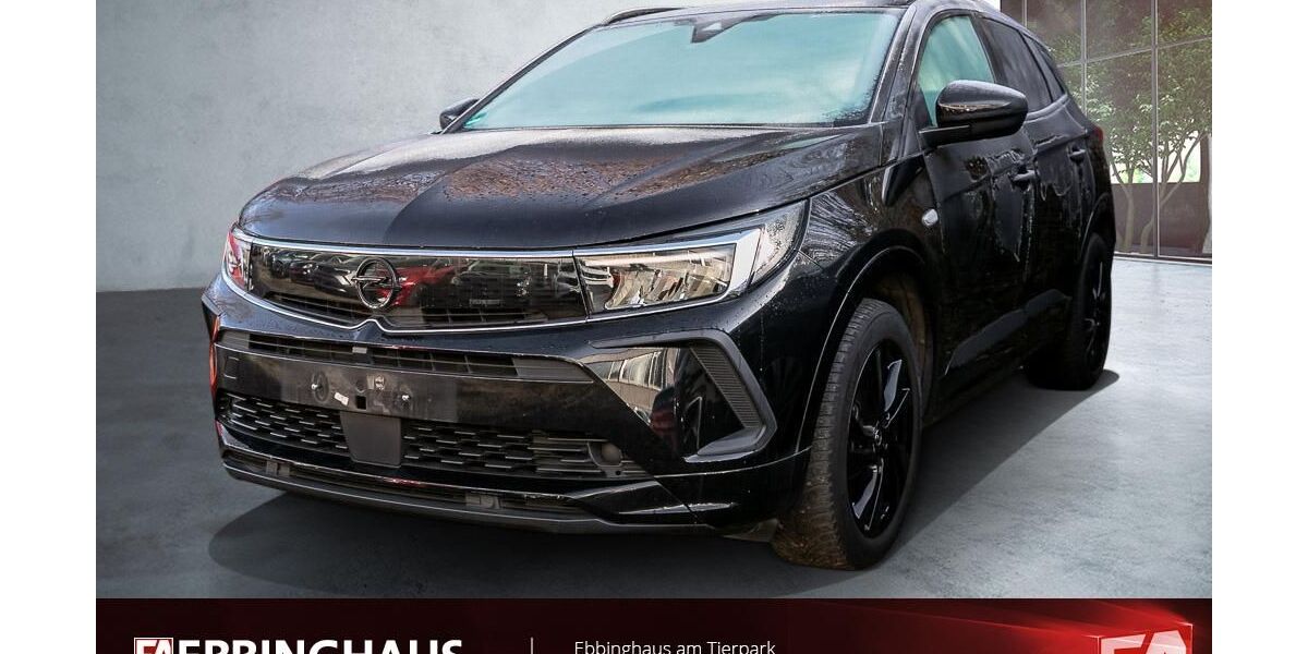 Opel Grandland (X) 32.321 km 22.499 &euro; Dortmund 44225